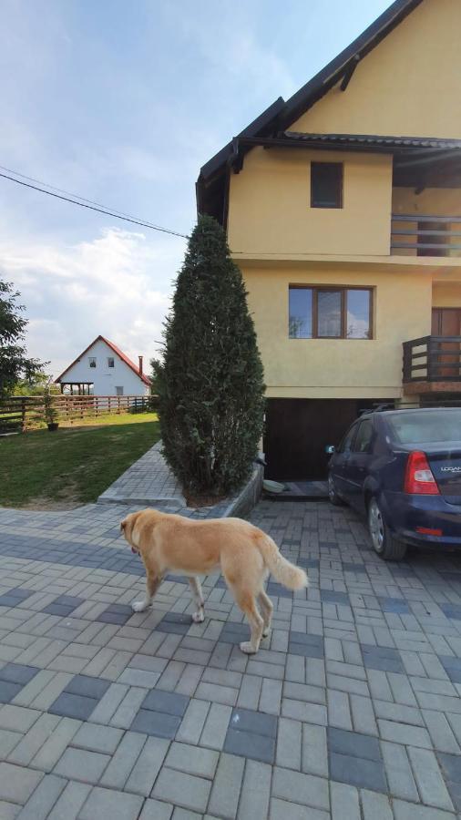 Popasul Galesean Hotel Galesu Buitenkant foto