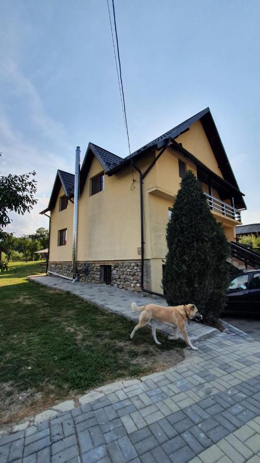 Popasul Galesean Hotel Galesu Buitenkant foto