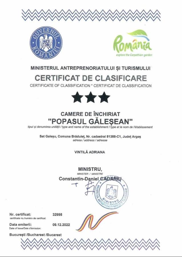 Popasul Galesean Hotel Galesu Buitenkant foto