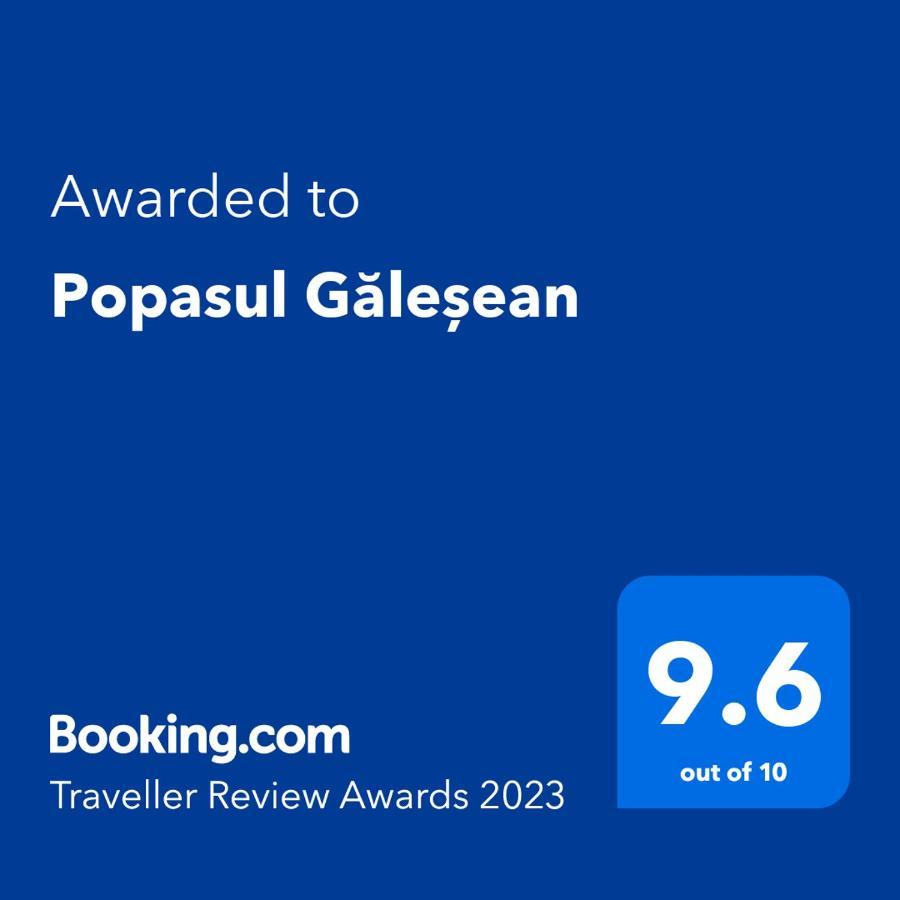 Popasul Galesean Hotel Galesu Buitenkant foto